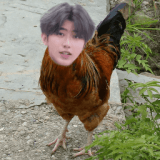 我的社交媒体头像