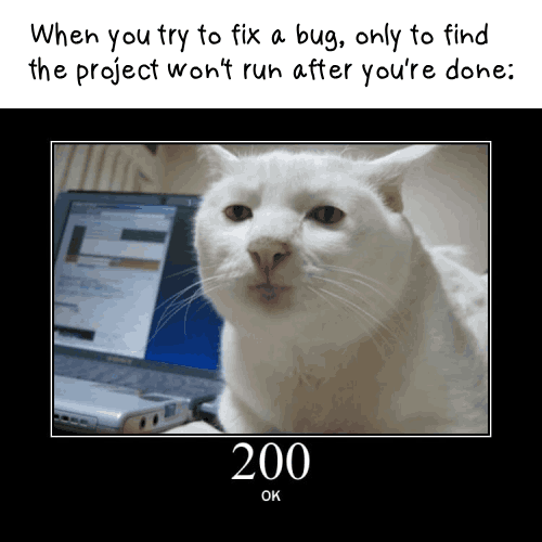 When you try to fix a bug, only to find the project won't run after you're done: