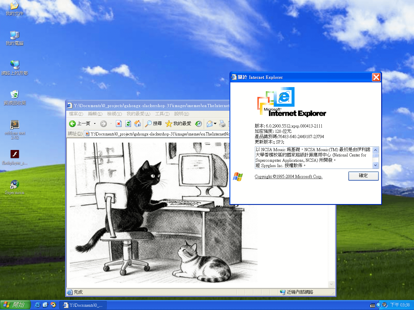About Internet Explorer